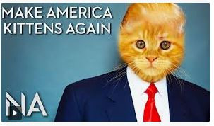 Trump_kittens_4